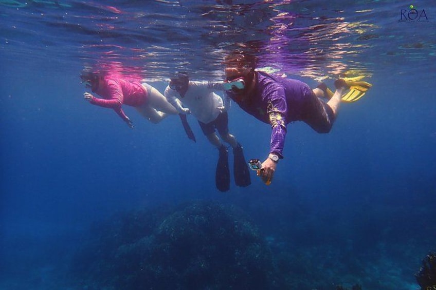 Roatan Drift Snorkel and Monkey/Sloth Sanctuary Tour 2