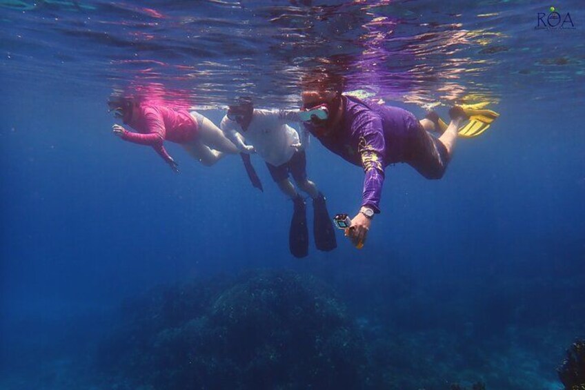 Roatan Drift Snorkel and Monkey/Sloth Sanctuary Tour 3