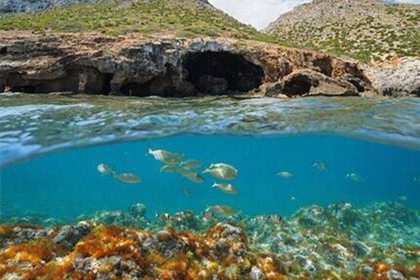 Una limpida scena subacquea con pesci che nuotano, formazioni rocciose e l'ingresso di una grotta. 5
