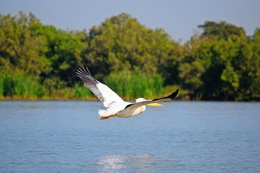 5 Day Addis,Bahir Dar,Gondar,Simien Mountains and Lalibela Tours 4