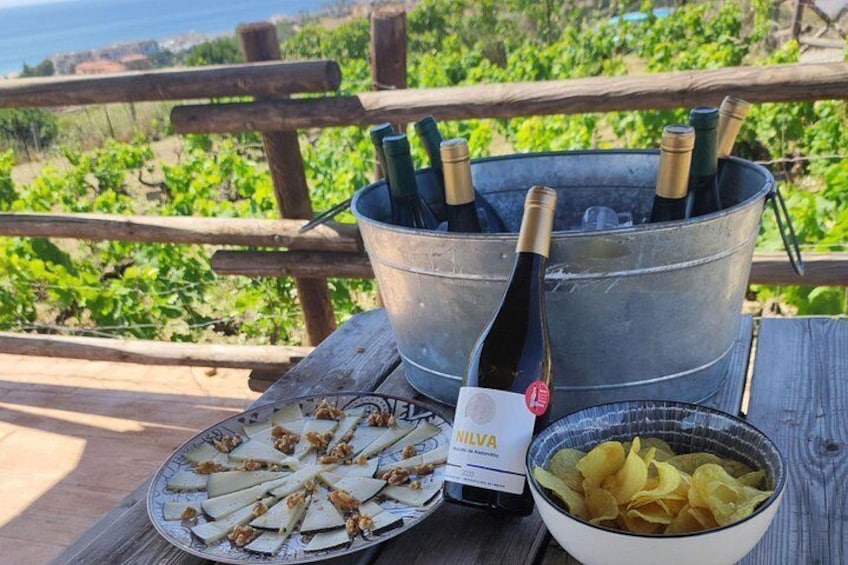 Wine and tapas tasting in the Peñoncillo vineyard 3