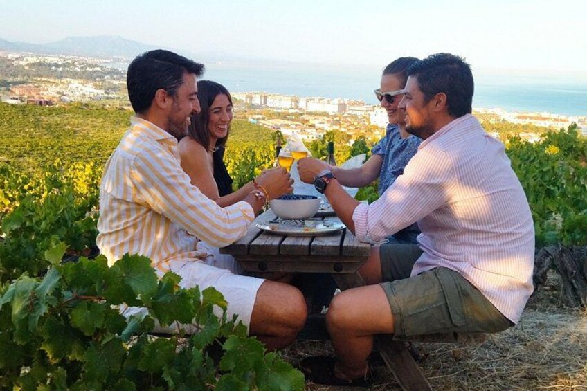 A group of people sitting at a table outdoors with a view of a vineyard and a distant cityscape. 4