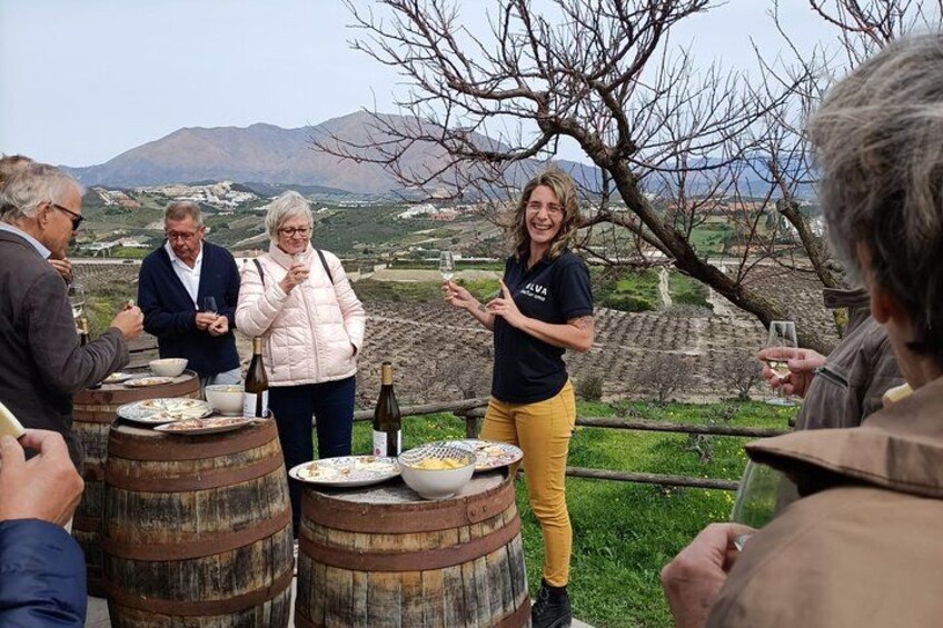 Wine and tapas tasting facing the sea at Viña del Peñoncillo 1