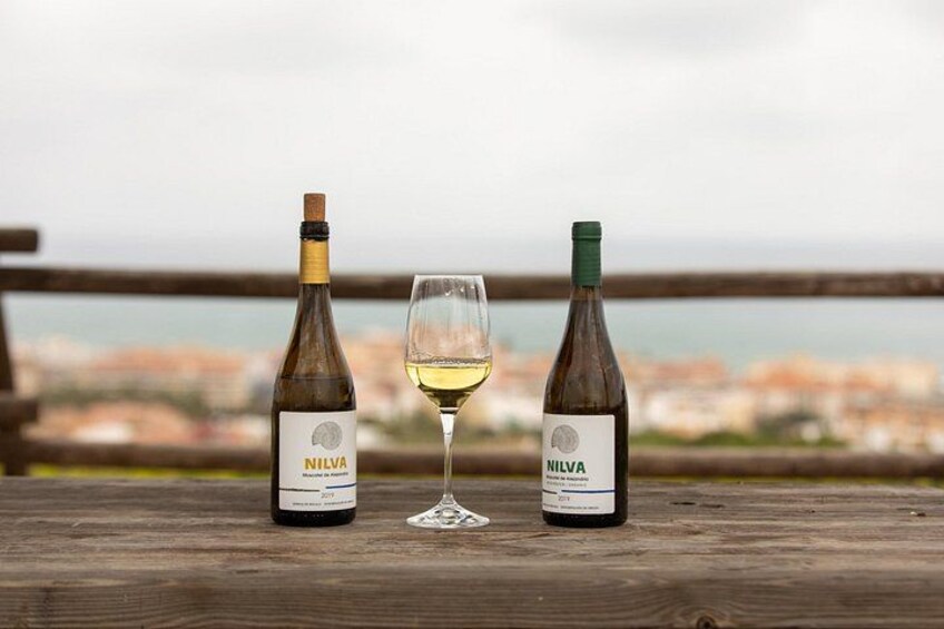Two bottles of wine and a wine glass on a wooden table with a cityscape in the background. 2