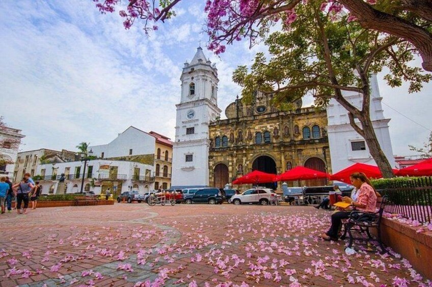 Private City Tour Panamá 3