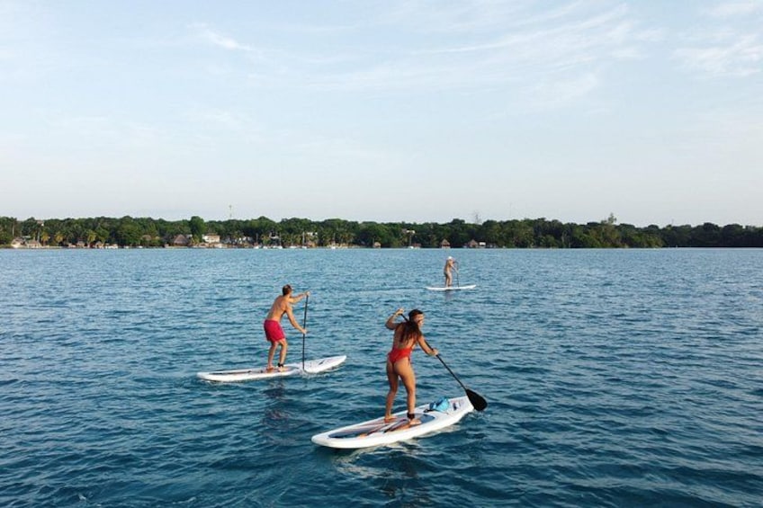 Two people paddleboarding on a calm body of water with a distant shoreline. 2
