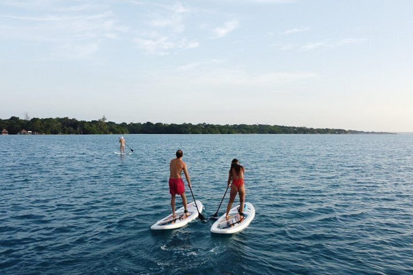 Two people paddleboarding on a calm body of water with a distant shoreline and trees. 2
