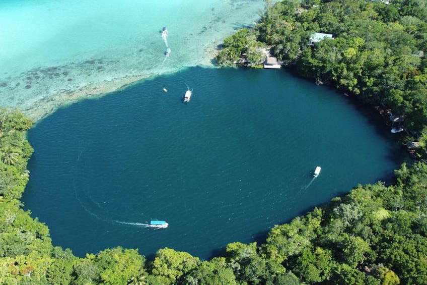 A large body of water surrounded by dense green forest, with a few boats visible on the water. 4