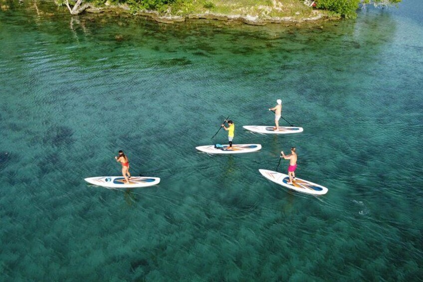 Four people paddleboarding on a clear blue water body surrounded by greenery. 3