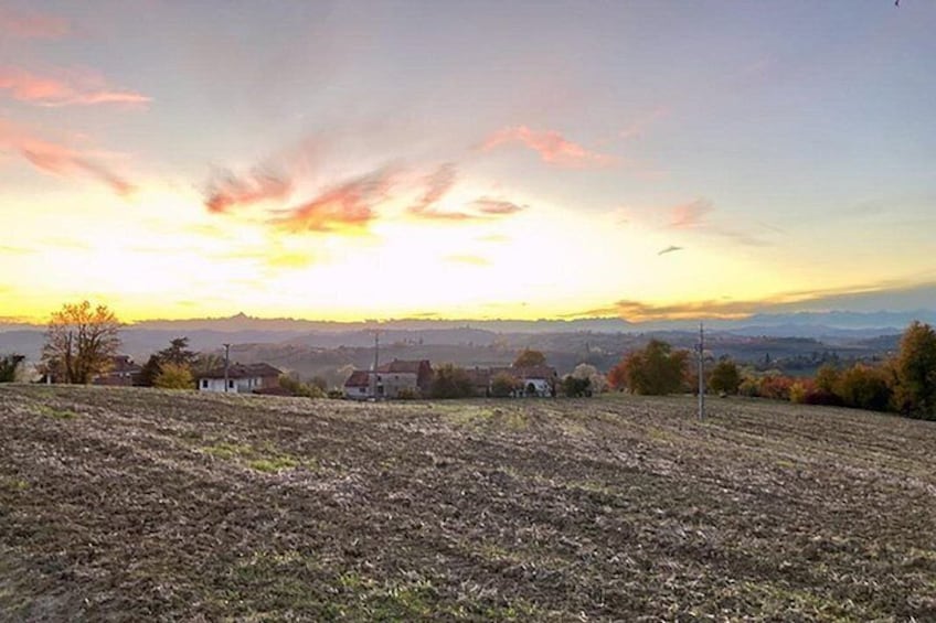 Fresh pasta with a view near Asti – Langhe, Roero, Monferrato 2