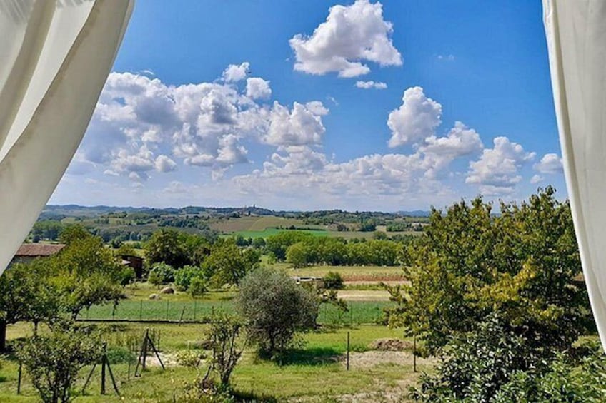 Fresh pasta with a view near Asti – Langhe, Roero, Monferrato 5