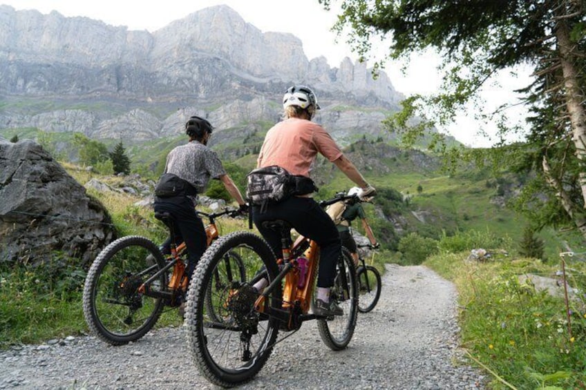 Chamonix: Mont-Blanc Panorama E-bike Tour (Beginner) 3