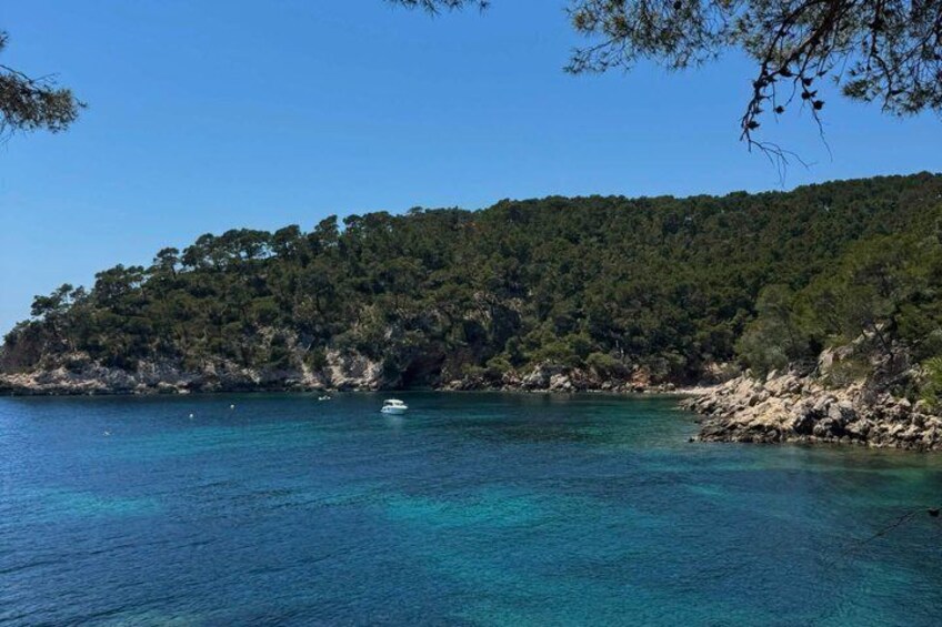 Private Full-Day Calanques Tour: St-Cyr to Cassis 3