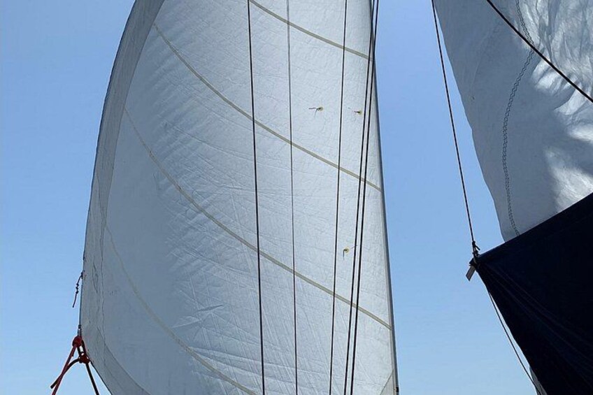 we love using sails 2