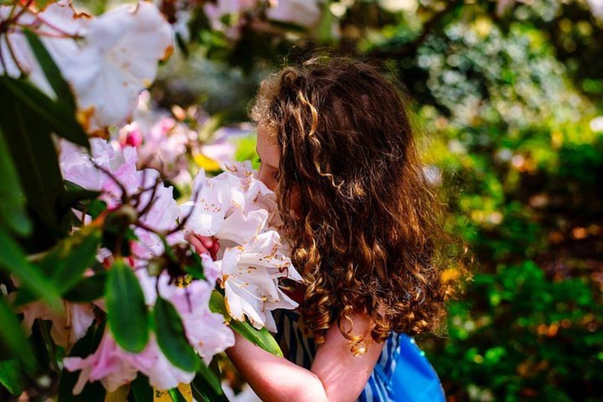Mount Congreve Gardens 1