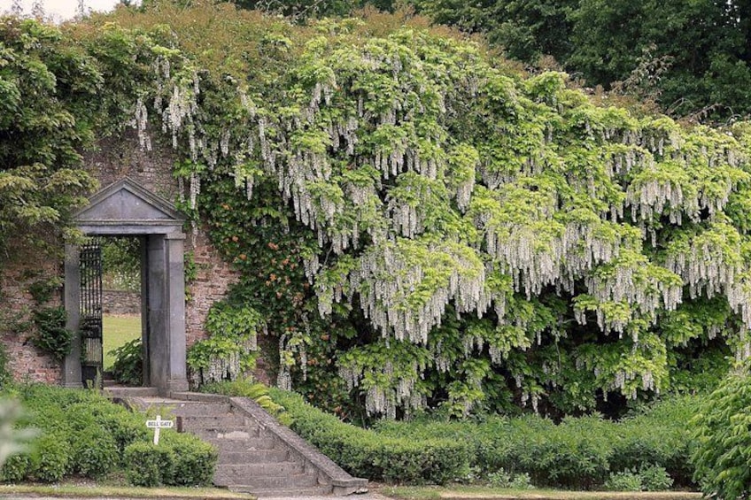 Walled Gardens 4