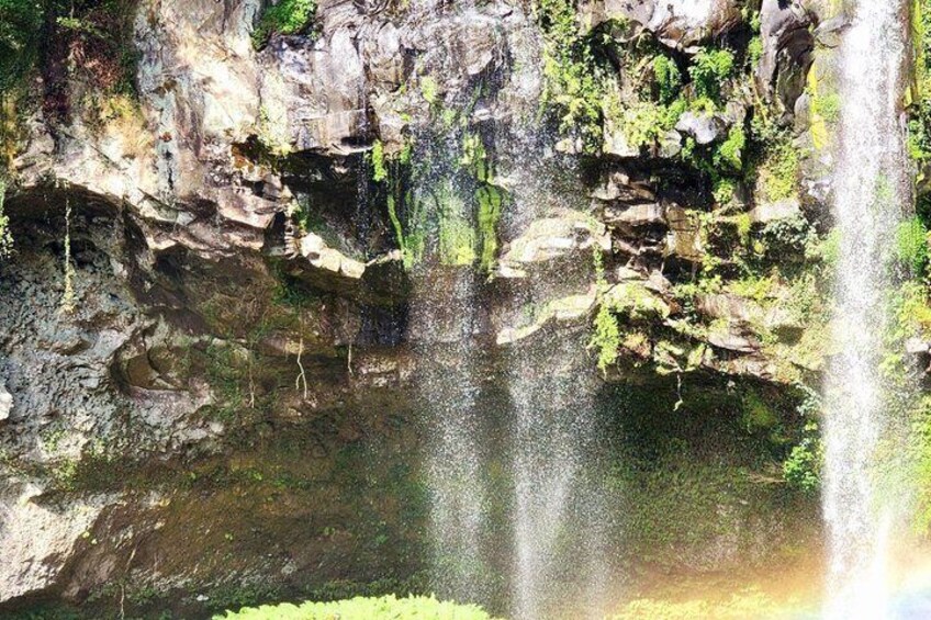 Jeju Island English Private & Flexible Tour any number anywhere 5