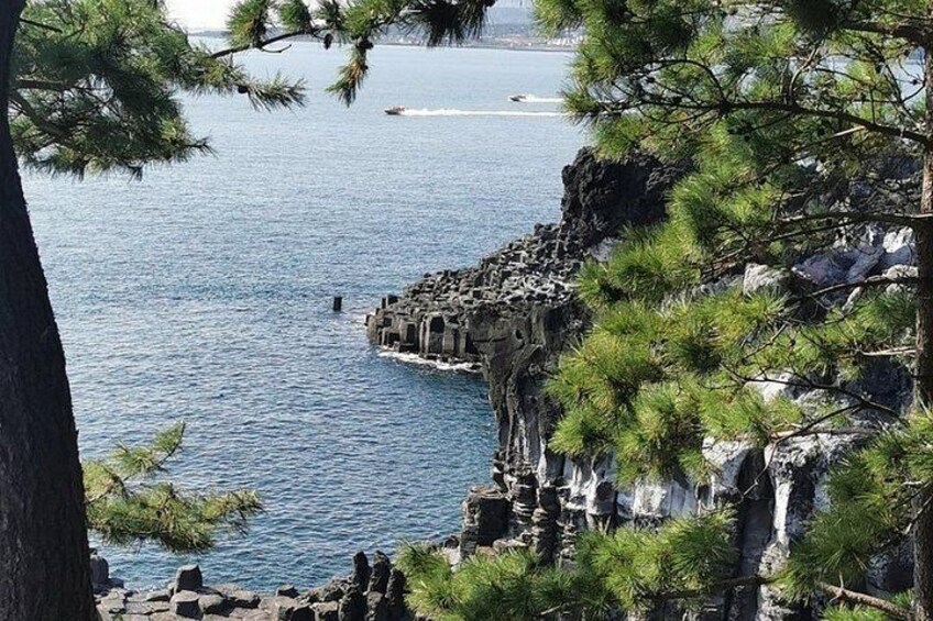 Jeju Island English Private & Flexible Tour any number anywhere 3