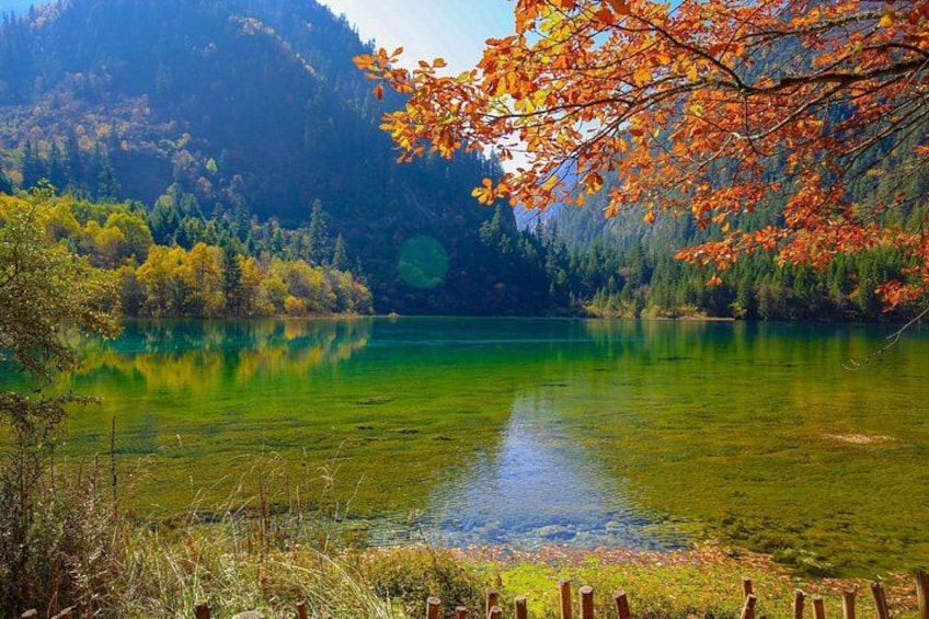 A lake surrounded by autumn-colored trees and a forested mountain backdrop. 5