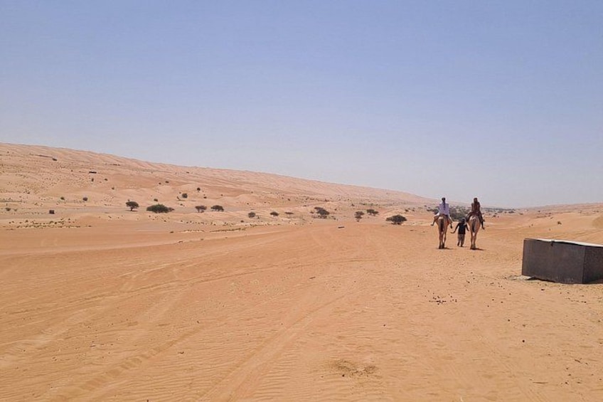 Un paysage désertique avec des dunes de sable et quelques arbres épars. 3