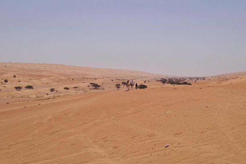 Private Desert and Wadi Tour in Oman 4