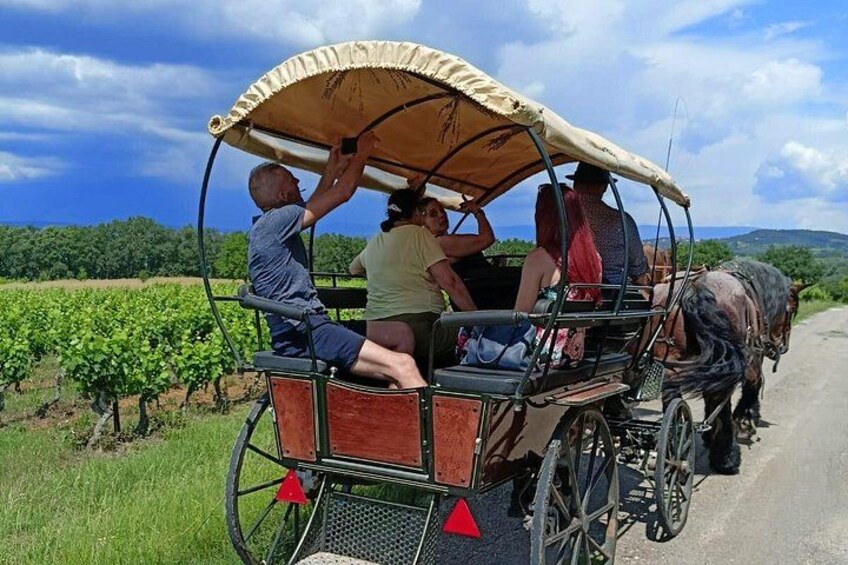 Carriage rides in the heart of the Luberon 5