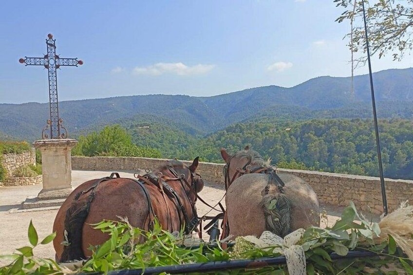 Carriage rides in the heart of the Luberon 2