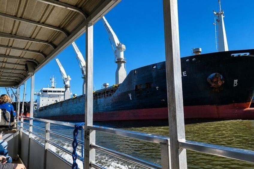 Una grande nave ormeggiata in un porto con una passerella coperta. 2