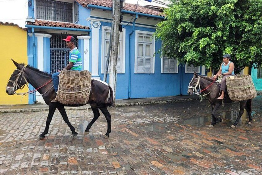 Typical Transport in the Countryside 1