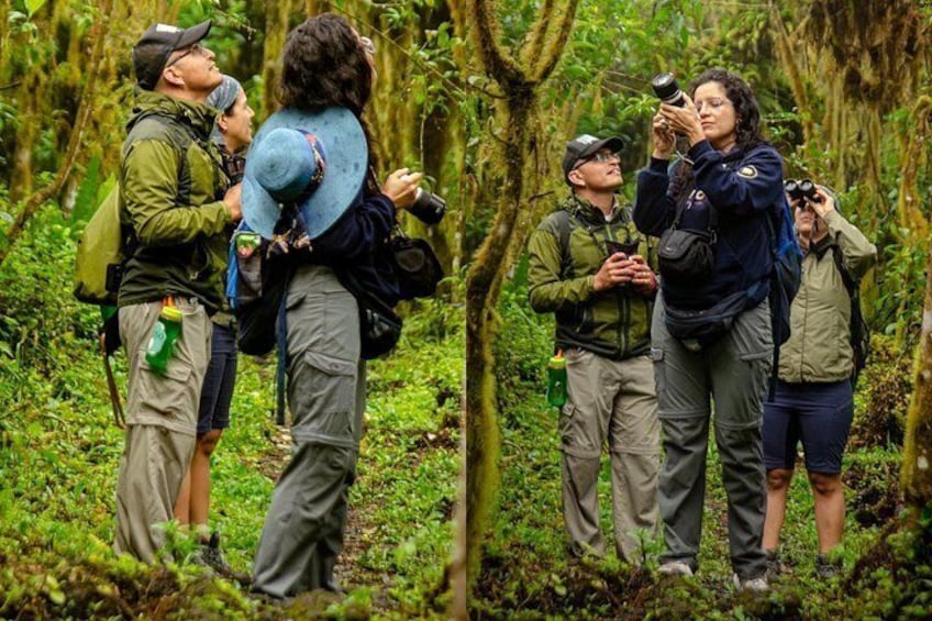 A group of people in a forested area, some wearing backpacks and others holding cameras, likely on a nature hike or wildlife observation. 3