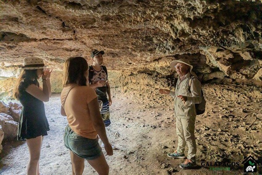 Giant Turtle Watching and Lava Tunnels Tour 5