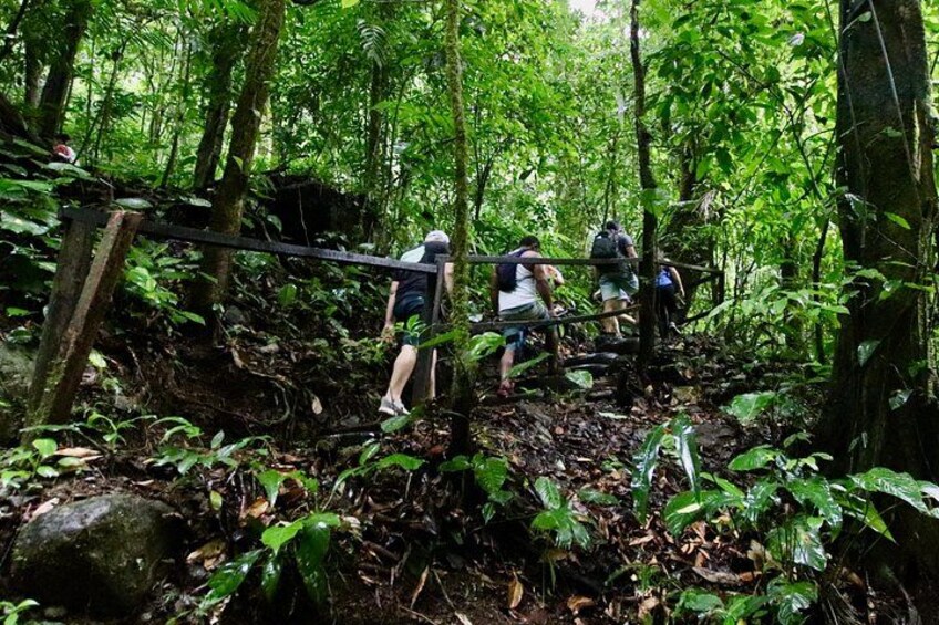 Manuel Antonio ATV Off Road Rainforest & Waterfalls Tour 5