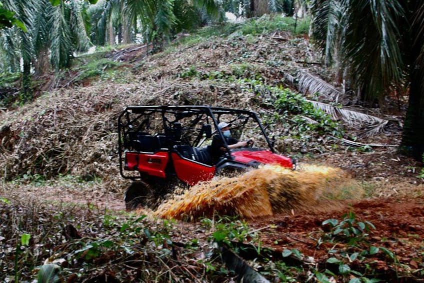 Manuel Antonio ATV Off Road Rainforest & Waterfalls Tour 4