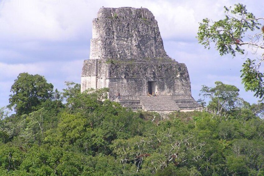 A large ancient stone structure surrounded by dense tropical foliage. 2