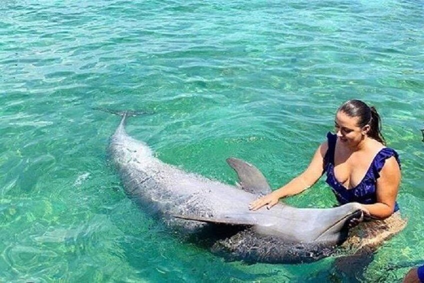 A person in a blue swimsuit interacting with a dolphin in clear blue water. 2