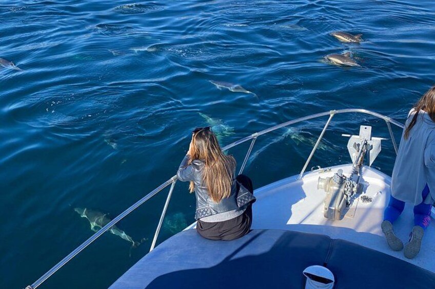 A boat with two people observing dolphins in the water. 5