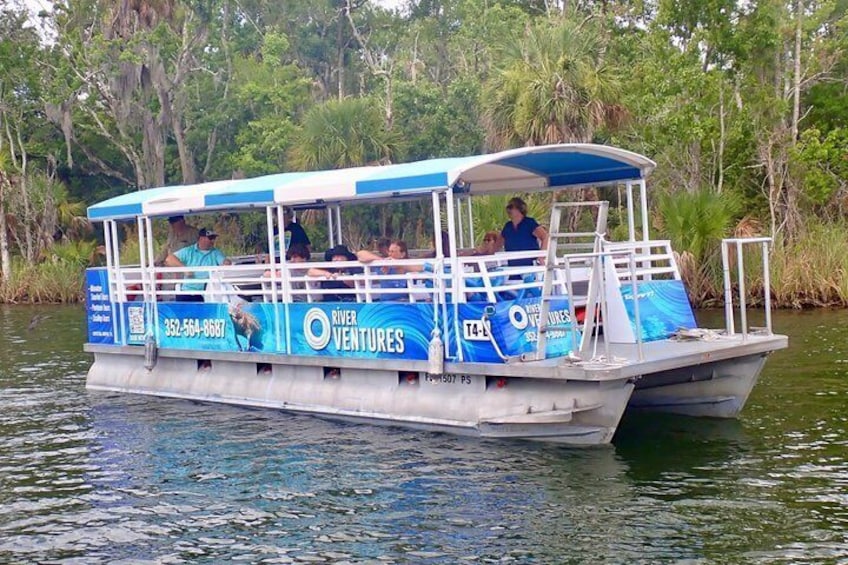 Crystal River Manatee Viewing & Sightseeing Boat Tour 2