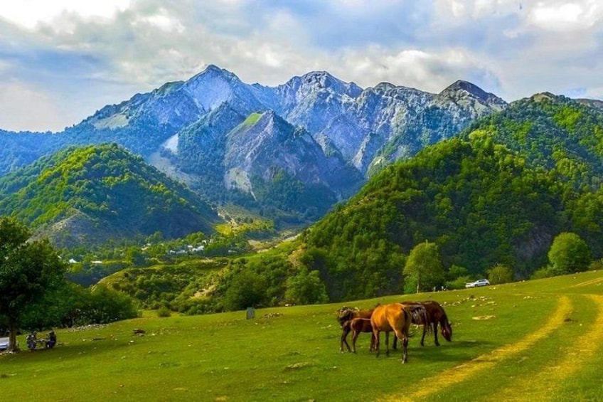 A mountainous landscape with horses grazing on a grassy field. 4