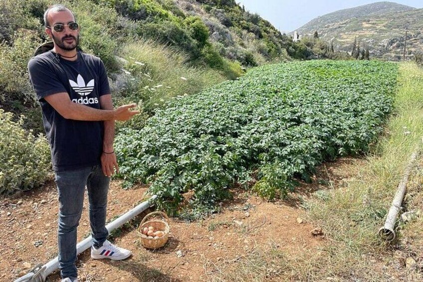 Naxos Perivoli Farm Experience & Wood-fire Cooking Class 2