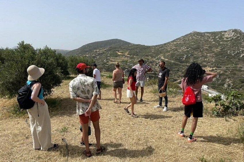 A group of people hiking on a hillside with a mountainous landscape in the background. 4