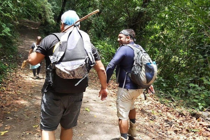 Deux randonneurs marchent sur un sentier de forêt, leurs sacs à dos sur le dos, entourés d’une végétation luxuriante. 4