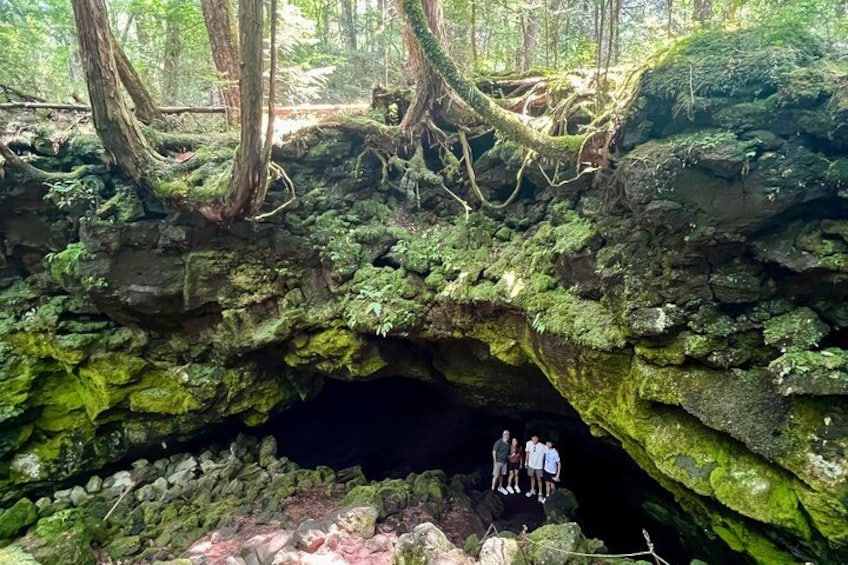 Entrada a una cueva con rocas cubiertas de musgo y raíces de árboles. 2
