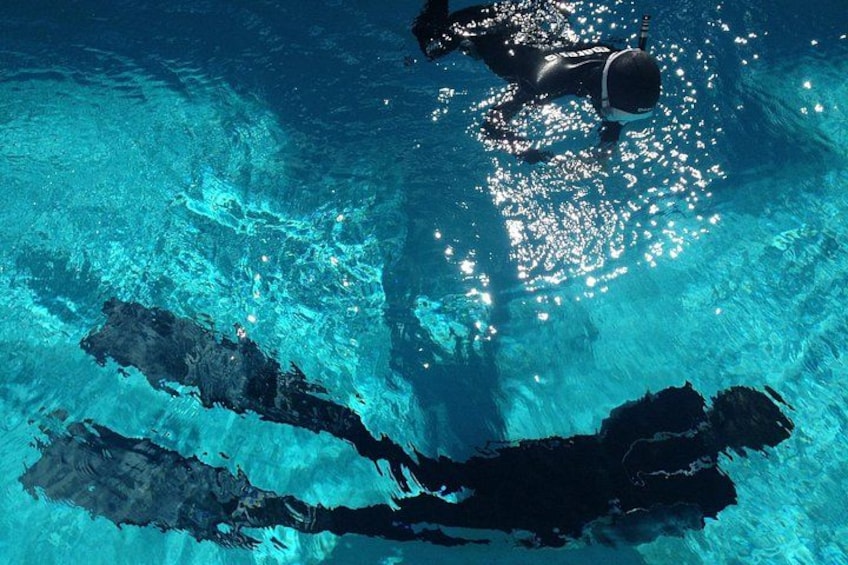 Nadador en una piscina con agua cristalina y un buzo arriba. 2