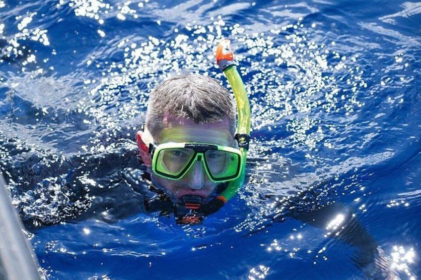 En person som snorklar i klart, blått vatten. 4