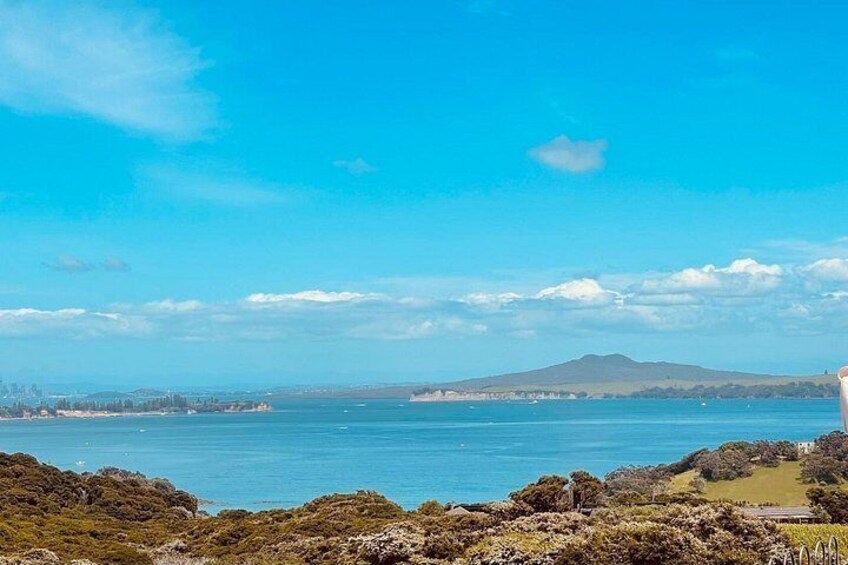 Auckland: Waiheke Island Wine Tour + Tastings & Beachfront Lunch 4