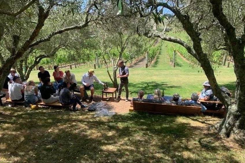 Stonyridge Vineyard 3