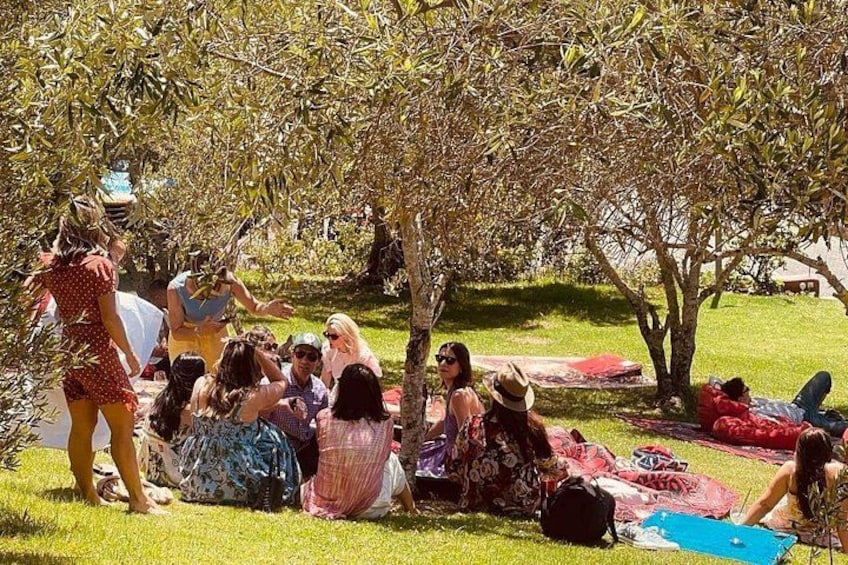 People sitting on grass under trees, some on blankets. 3
