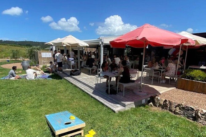 Auckland: Waiheke Island Wine Tour + Tastings & Beachfront Lunch 2