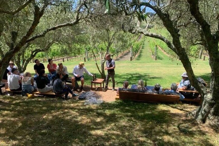 Stonyridge Vineyard 4