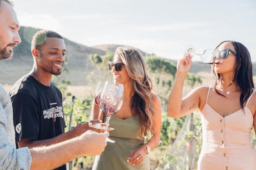 A group of people toasting with wine glasses in a vineyard setting. 2